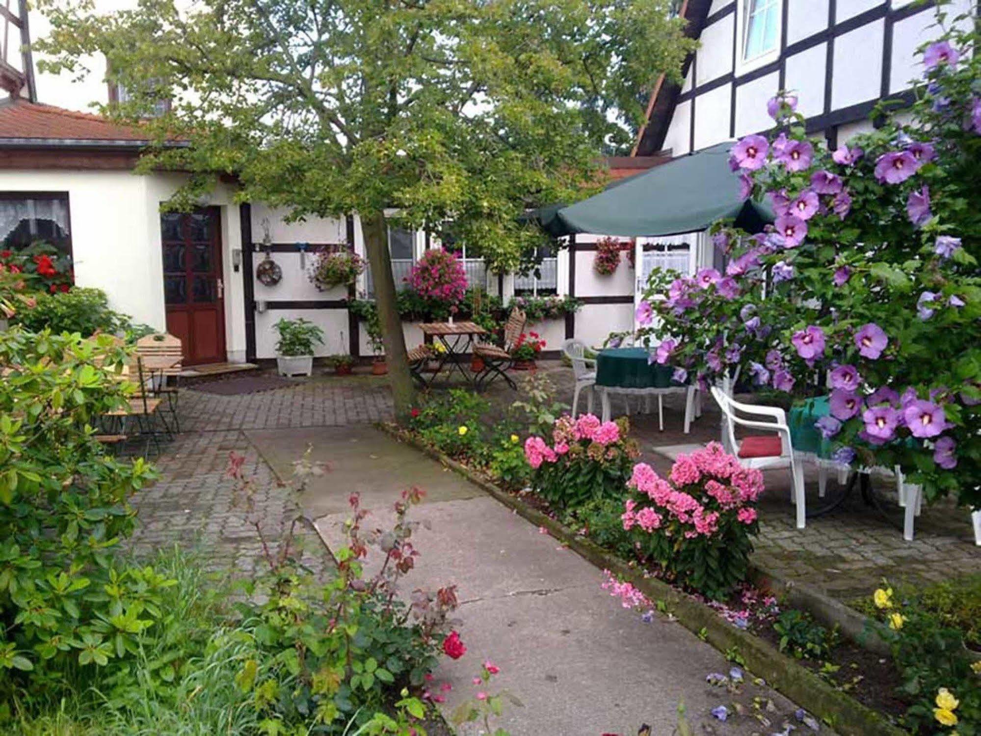 Pension Am Stadtrand Zerbst Экстерьер фото